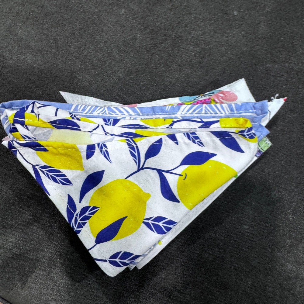 Multiple Dog Bandanas